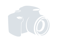 Ошейники, шлейки